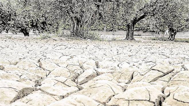 La Comunitat, del desierto a las inundaciones