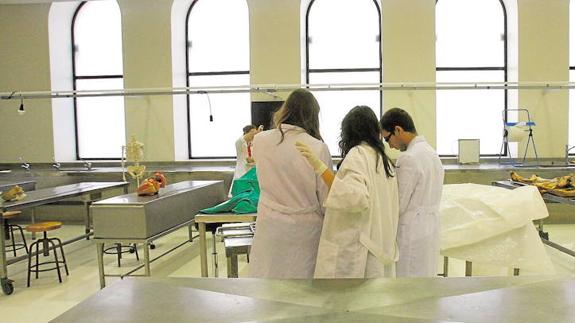 El Síndic pide a la UV que corrija un error burocrático que perjudica a alumnos de Medicina en el acceso a prácticas