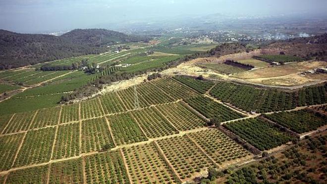 Un juez detecta «connivencia» entre el Ayuntamiento de Ribarroja y el promotor del PAI de Porxinos