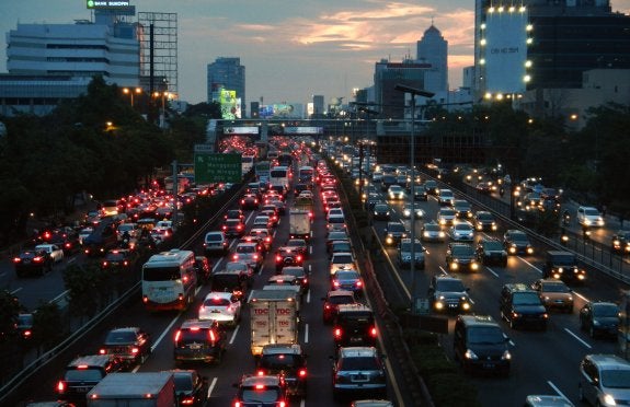 Pagan un euro y medio en Yakarta por cada rata que maten sus habitantes