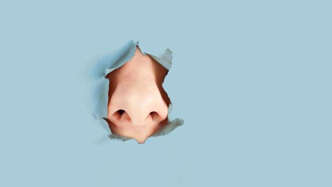 ¿Por qué arrancarse los pelos nasales puede ser peligroso?