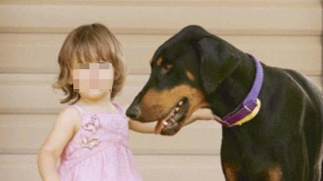 Ve a su doberman arrastrando a su hija y se horroriza hasta que descubre el motivo