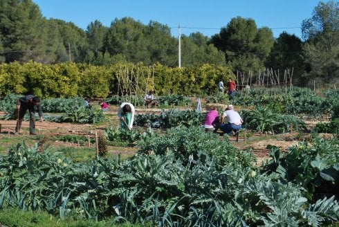 La UE estudia condicionar más sus ayudas a resultados ambientales