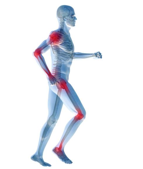 Investigan en Valencia una solución para regenerar el cartílago de las articulaciones