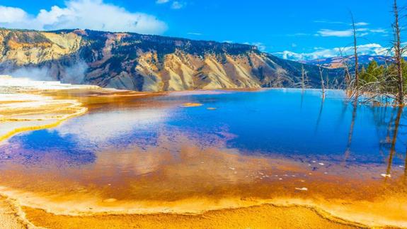 Muere al caer en ácido hirviendo en el parque de Yellowstone