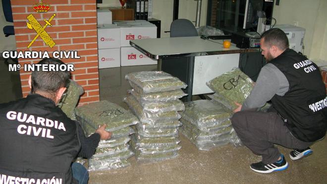 La Guardia Civil interviene 41 kilos de marihuana en el término municipal de Almussafes