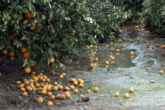 Los agricultores piden más dinero para financiar los seguros