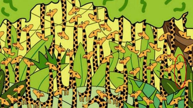 Solución | Encuentra a la serpiente entre todas las jirafas
