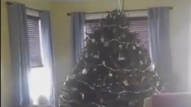Mata a disparos a un ciervo que tiró su árbol de Navidad