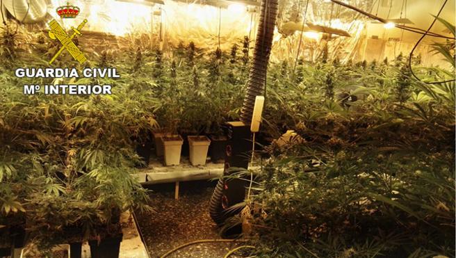La Guardia Civil desarticula en Pedreguer un grupo criminal dedicado al tráfico de drogas