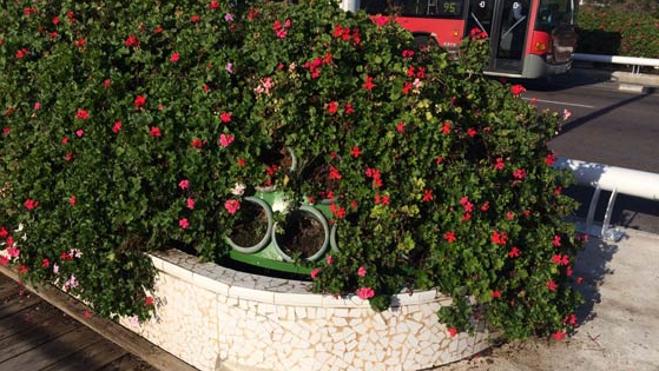 El PP acusa al Ayuntamiento del «estado de abandono» del puente de las Flores