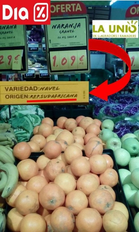 Naranjas de Sudáfrica en pleno mes de enero