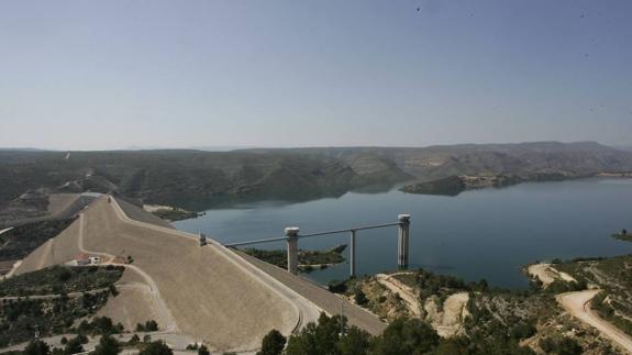 Tous aplica en sus montes un innovador sistema europeo de reforestación