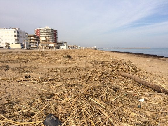 Alcaldes valencianos critican la falta de limpieza en los cauces tras el temporal