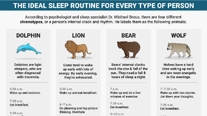 Dormir mejor es tan fácil como identificarse con un animal