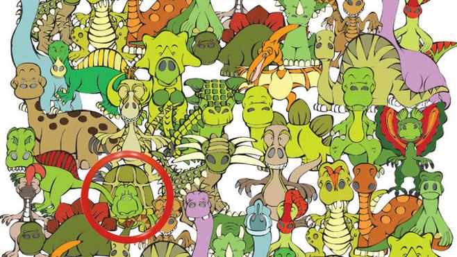 Solución | ¿Puedes encontrar a la tortuga?