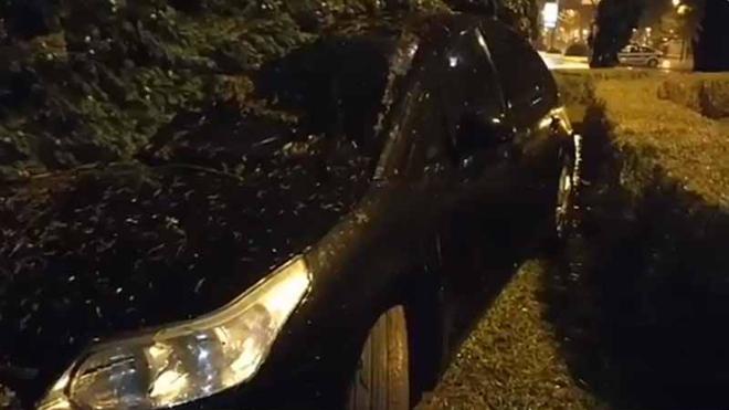 Detenido un conductor ebrio tras estrellarse en Blasco Ibáñez