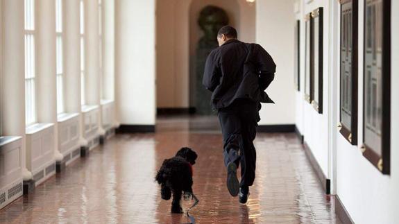 El fotógrafo de la Casa Blanca le hizo más de 2 millones de fotos a Obama: estas son sus favoritas