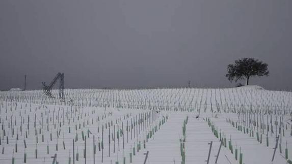 Así fueron los dos días sin luz y sin agua en Requena