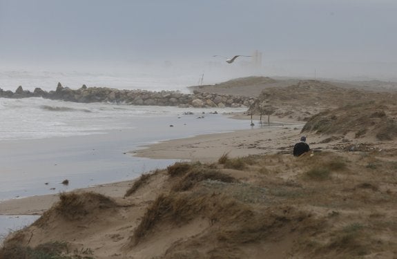 Valencia exigirá al Puerto que asuma su responsabilidad por la regresión de las playas