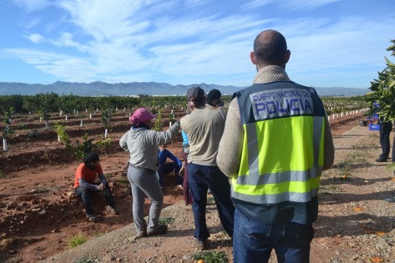 Los robos en el campo en Valencia causan las pérdidas más elevadas en ocho años