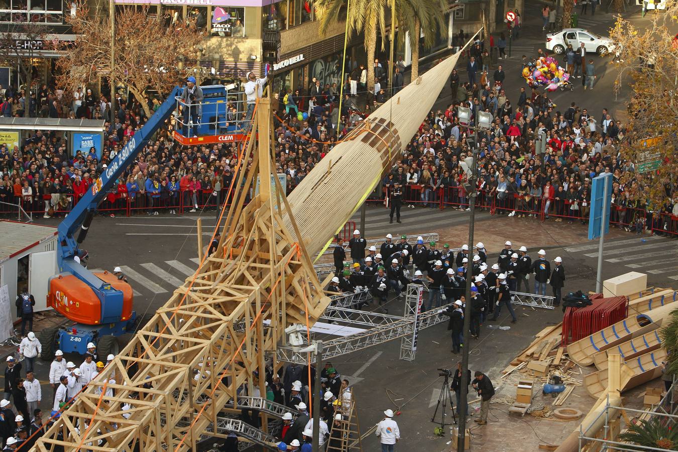 Histórica plantà al tombe