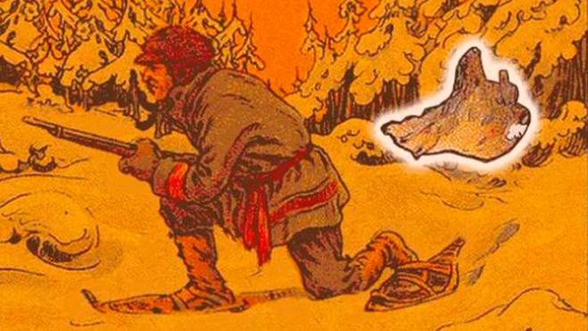 Solución | ¿Dónde está el oso?