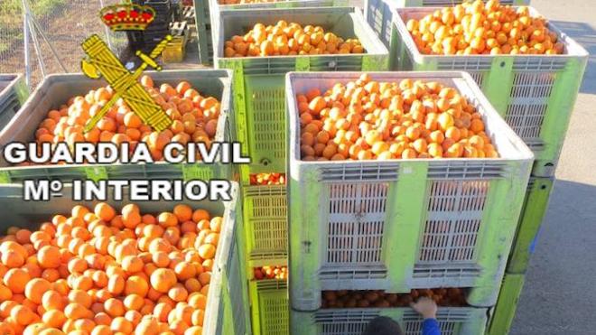 Once detenidos por el robo de 170.000 kilos de naranjas en Valencia