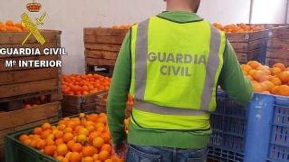 Dos detenidos y otros dos investigados por robar más de 15.000 kilos de naranjas