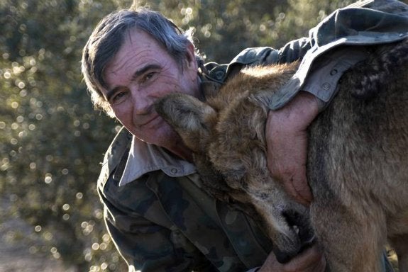 Mitad niño, mitad lobo