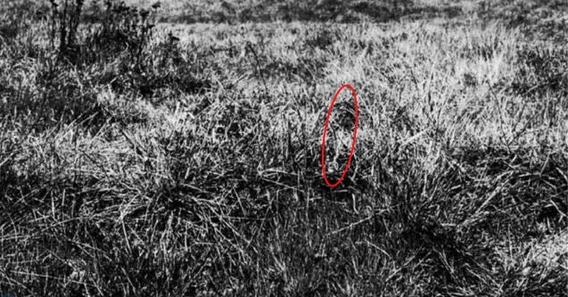 Solución | ¡Cuidado! Hay un soldado que te apunta con un arma