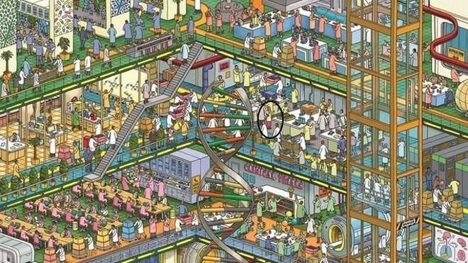 Solución | ¿Encuentras a la mujer?