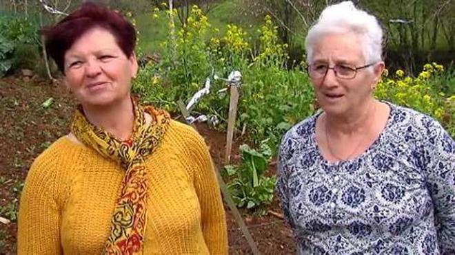 Las abuelas de la marihuana