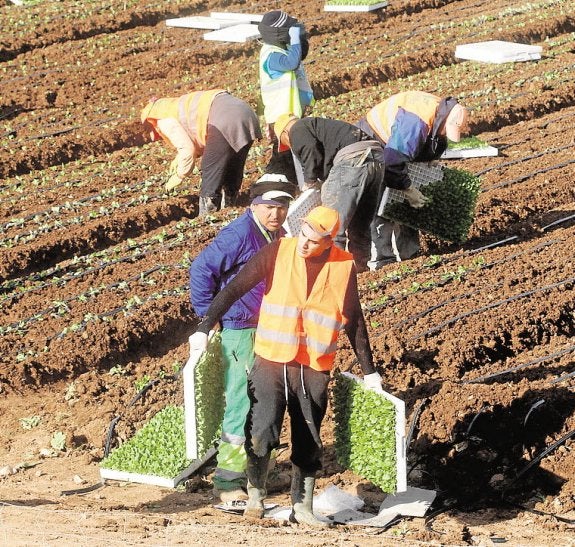 La futura reforma de la PAC exigirá mayor financiación