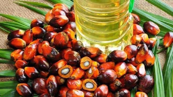 Alimentos que desconocías que tienen aceite de palma