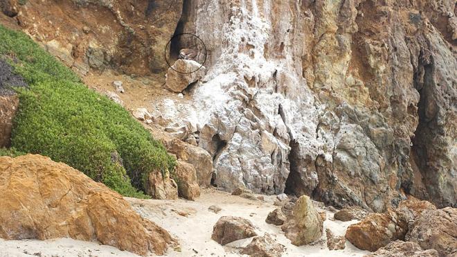 Solución | Busca a la persona camuflada en el paisaje