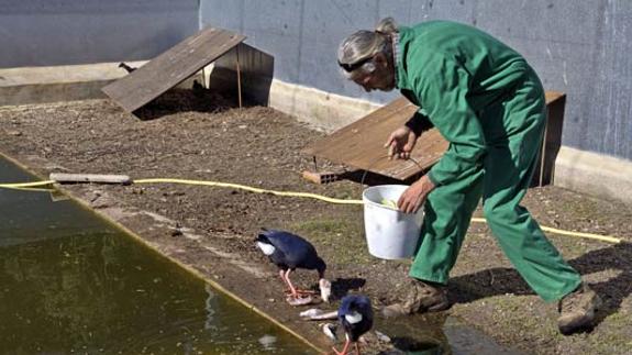 El centro de recuperación recibe 1.600 llamadas para recoger animales en 2016