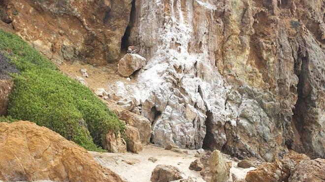 Busca a la persona camuflada en el paisaje