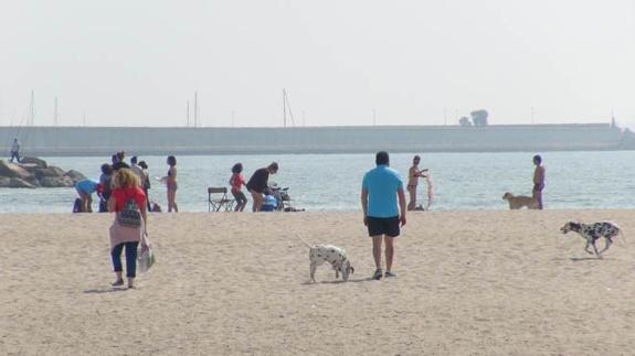 Los dueños de perros piden que la playa de Pinedo esté abierta para mascotas todo el año