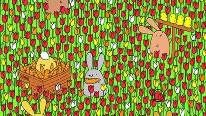 Solución | ¿Dónde se esconde el huevo de Pascua?