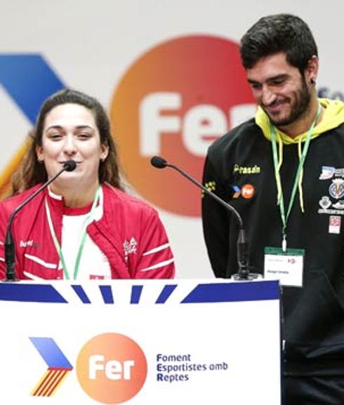 Una nueva categoría para el Proyecto FER