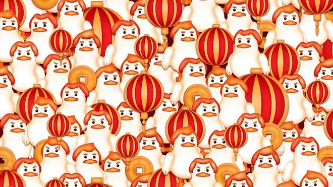 Hay un gallo entre todas las gallinas
