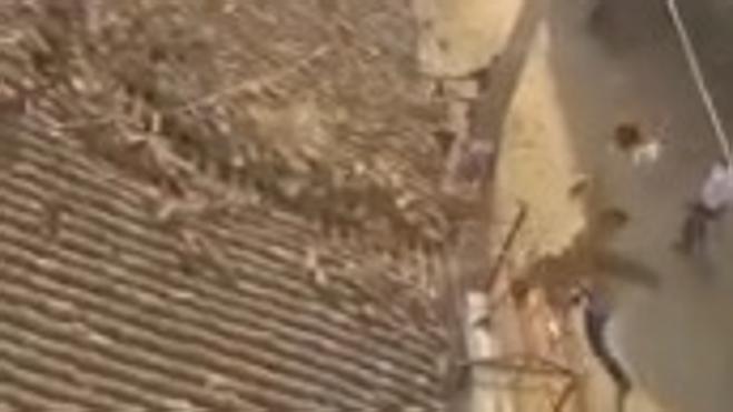 Un guardabosques salta de un tejado huyendo de un leopardo