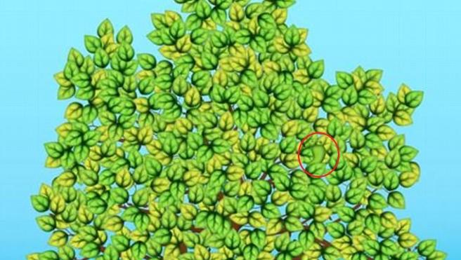 Solución | ¿Puedes encontrar la hoja diferente?