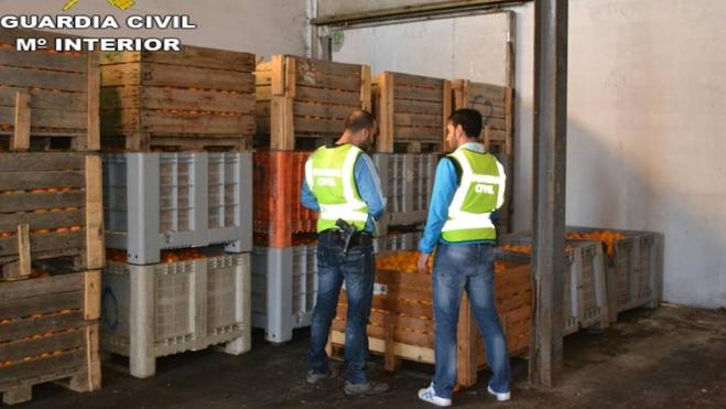 Detenidas dos personas por el robo de más de 26 toneladas de naranjas en la provincia de Valencia