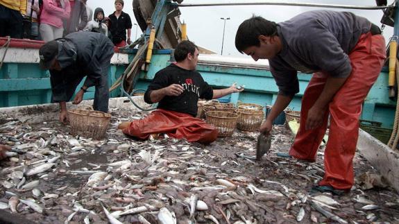 Las descargas pesqueras en puertos de la Comunitat bajan un 24 % en 3 meses