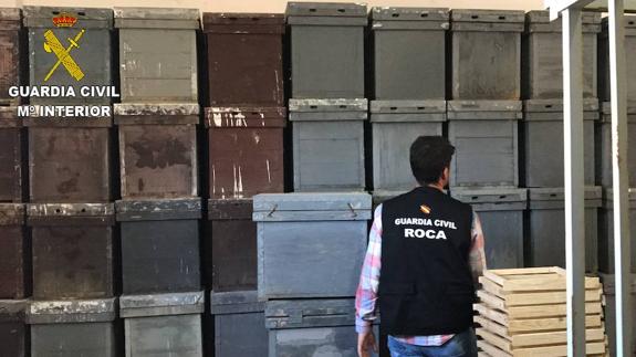 La Guardia Civil esclarece el robo de 223 colmenas en Valencia y Murcia