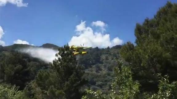 Controlado el incendio en la Calderona