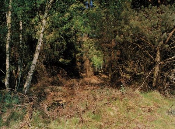 ¿Ves al francotirador?