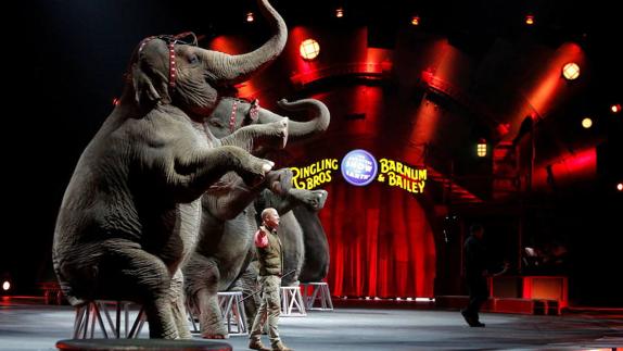 Un circo dona por primera vez en España sus animales y promete no reemplazarlos